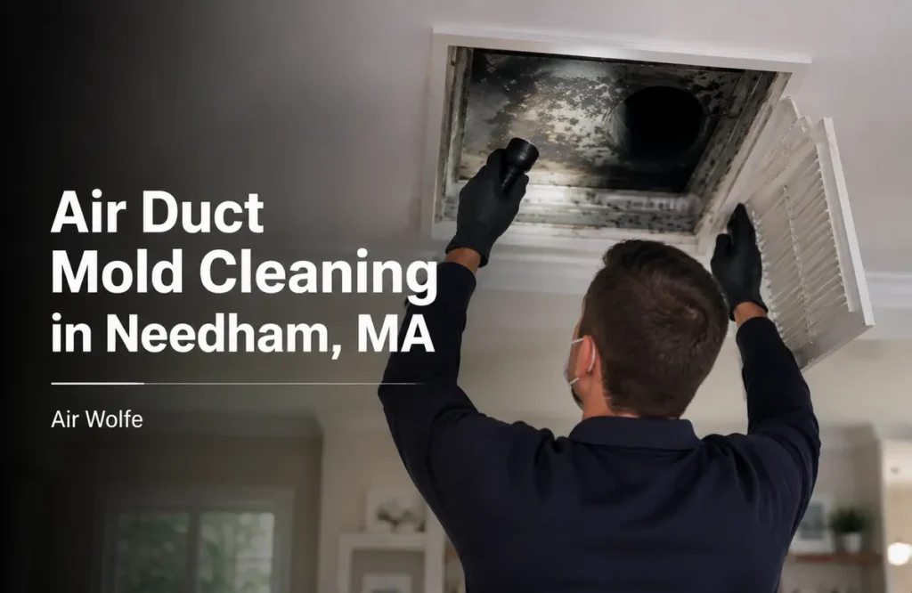 Air Duct Mold Cleaning in Needham, MA Free Estimate